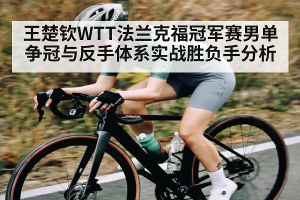 王楚钦WTT法兰克福冠军赛男单争冠与反手体系实战胜负手分析