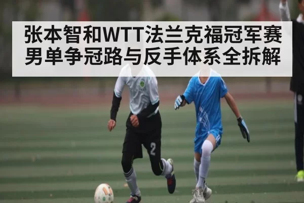张本智和WTT法兰克福冠军赛男单争冠路与反手体系全拆解